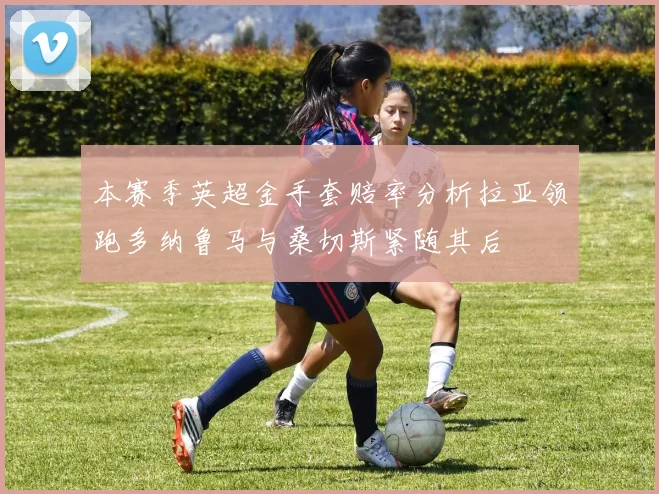 本赛季英超金手套赔率分析拉亚领跑多纳鲁马与桑切斯紧随其后